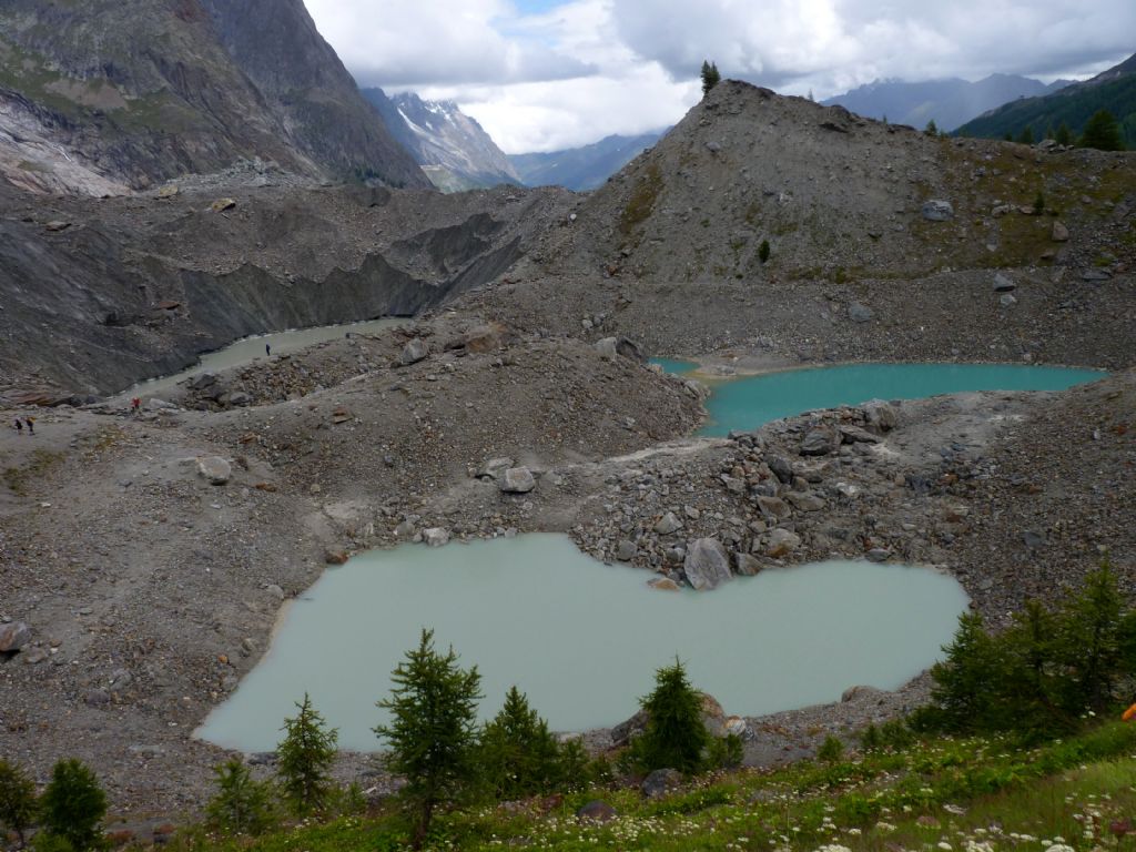 Limax in accoppiamento da Courmayeur (AO)